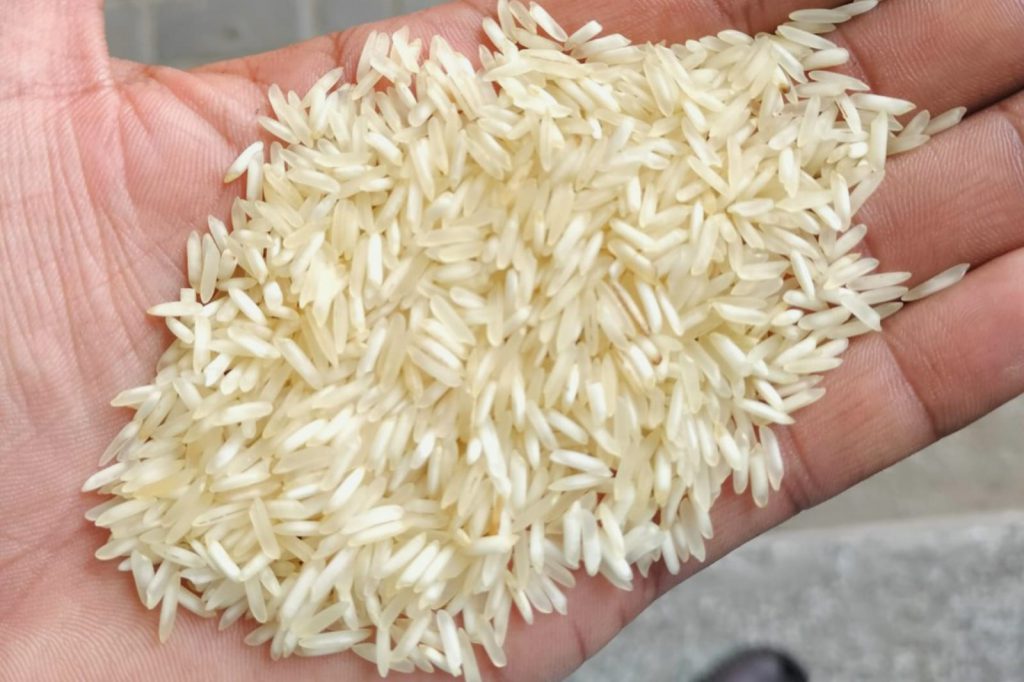 rice